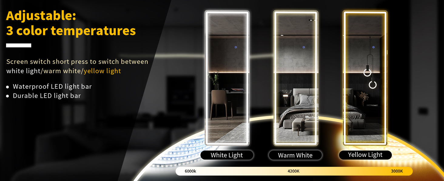 Full-length LED body mirror by WinniHouse with adjustable lighting and three color temperatures, measuring 63x20 inches.